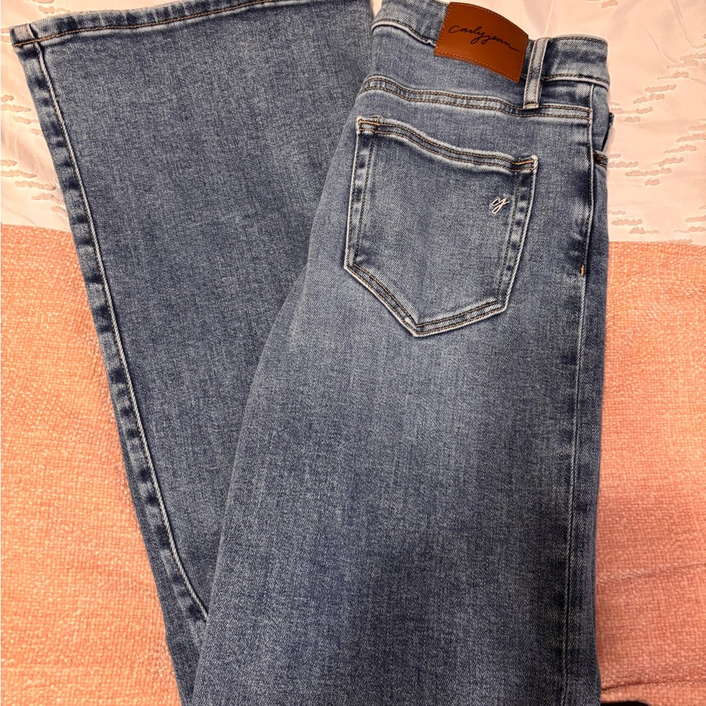 Morgan Wide Leg Flare Jeans